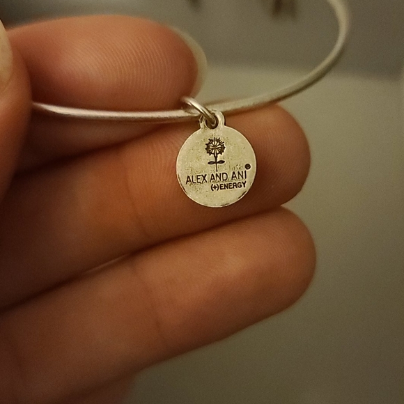 Alex & Ani 🌟 Bracelet - Picture 4 of 5